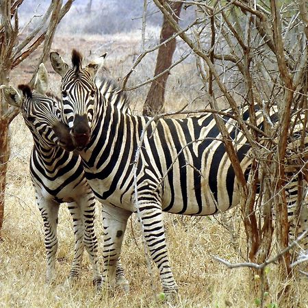 Ndlovu Log Home Dinokeng Klipdrift Bagian luar foto