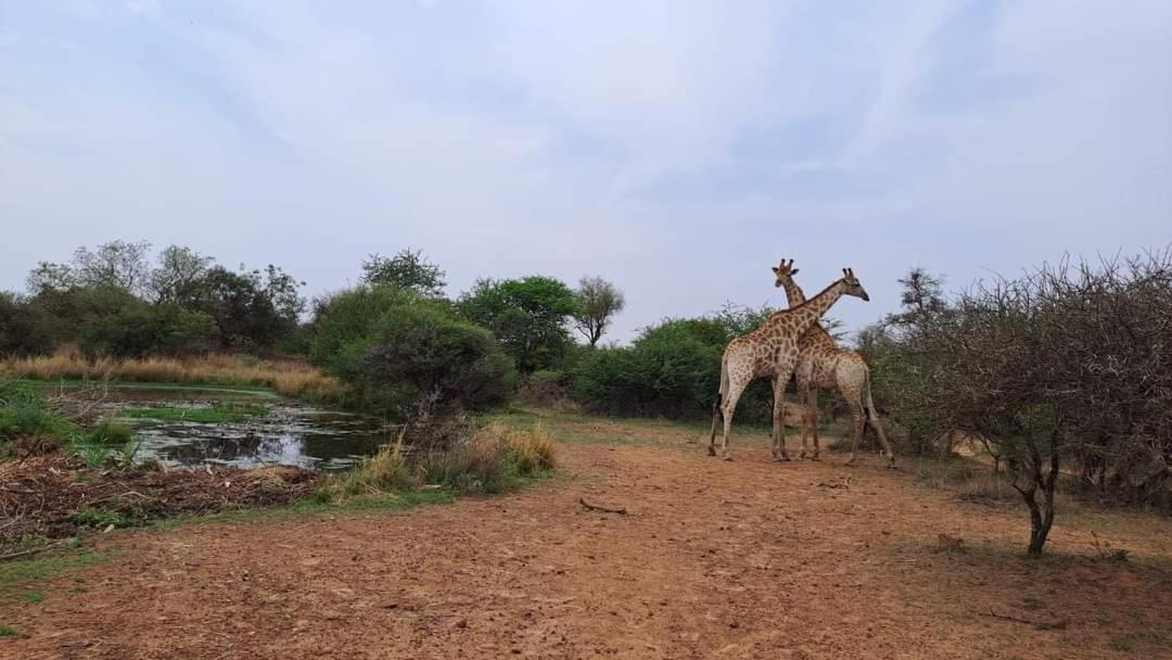 Ndlovu Log Home Dinokeng Klipdrift Bagian luar foto