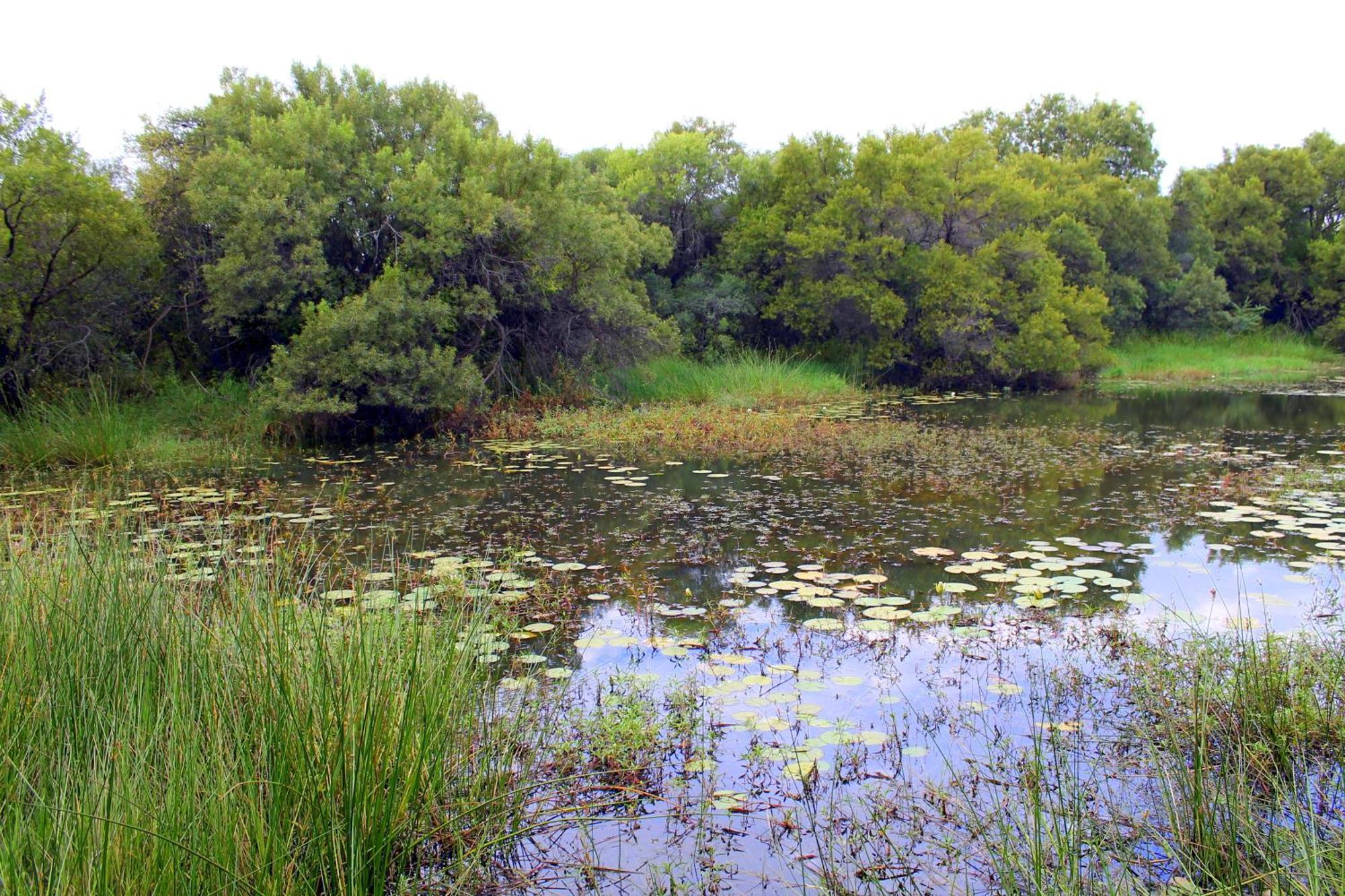 Ndlovu Log Home Dinokeng Klipdrift Bagian luar foto
