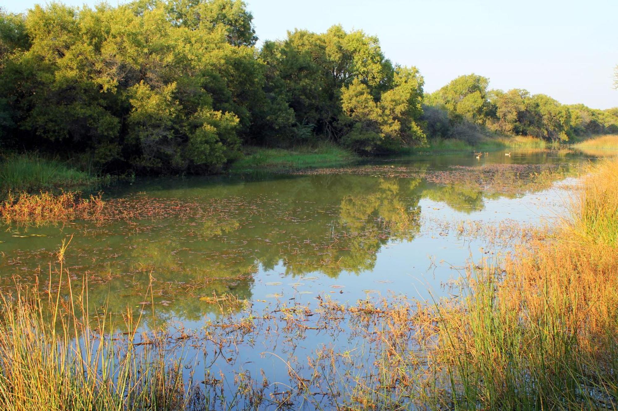 Ndlovu Log Home Dinokeng Klipdrift Bagian luar foto