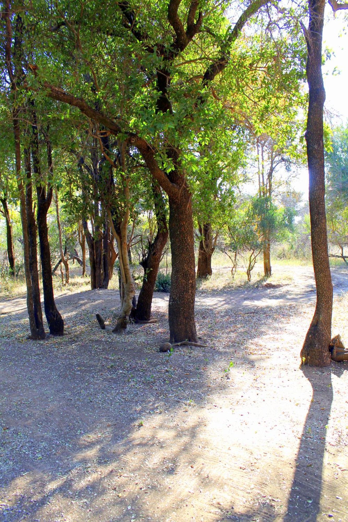Ndlovu Log Home Dinokeng Klipdrift Bagian luar foto