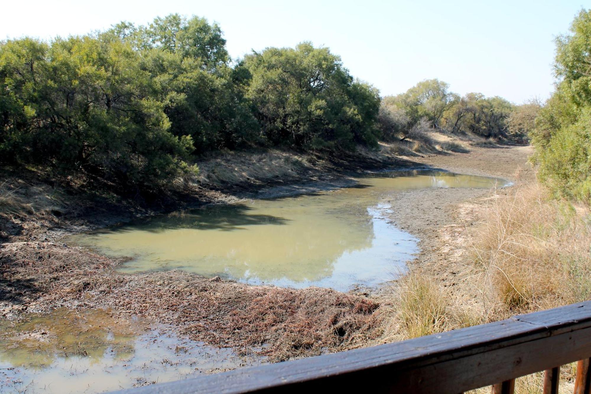 Ndlovu Log Home Dinokeng Klipdrift Bagian luar foto